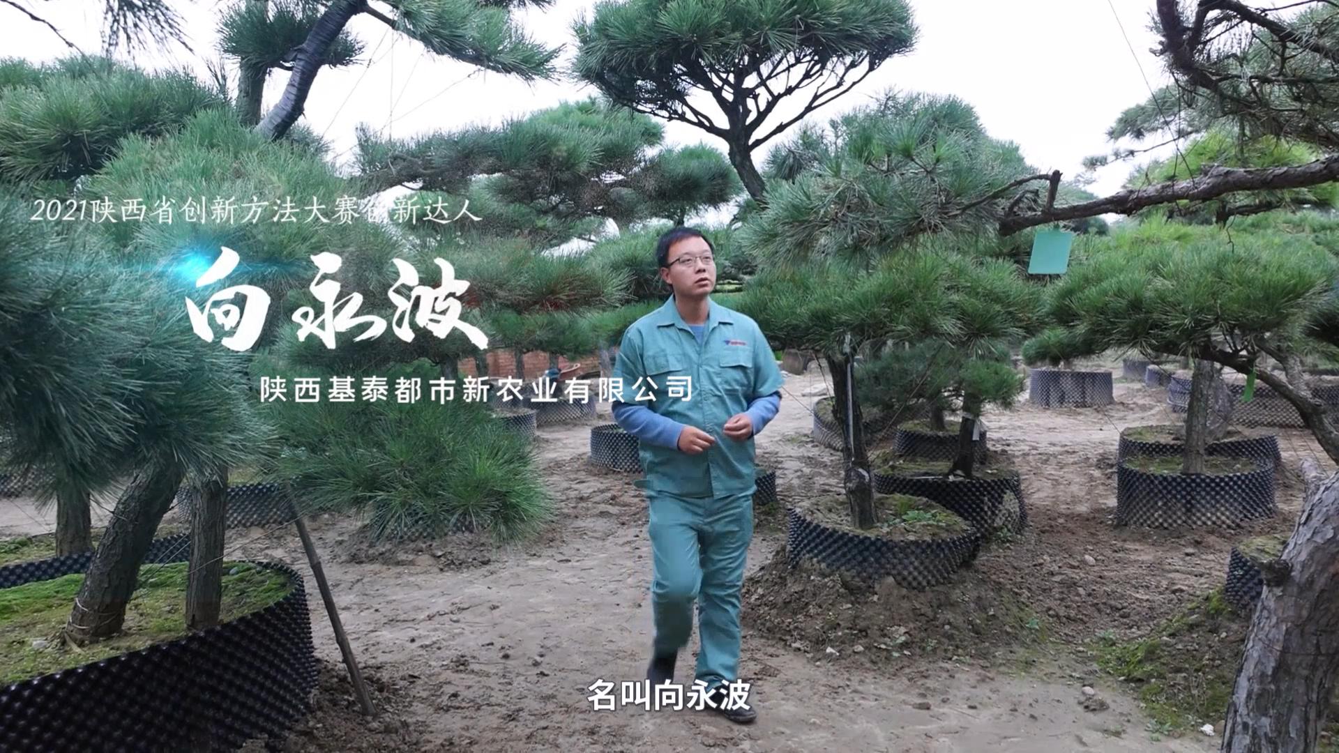 創(chuàng)新達(dá)人！