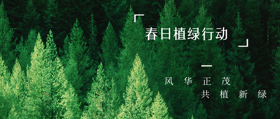 基泰集團開展2023春日植綠行動
