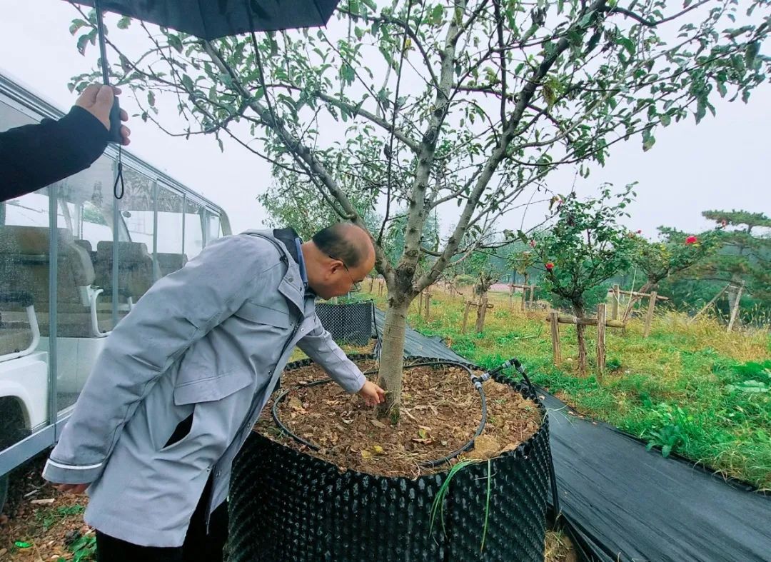西農(nóng)唐光輝教授赴基泰園林進(jìn)行植保技術(shù)指導(dǎo)